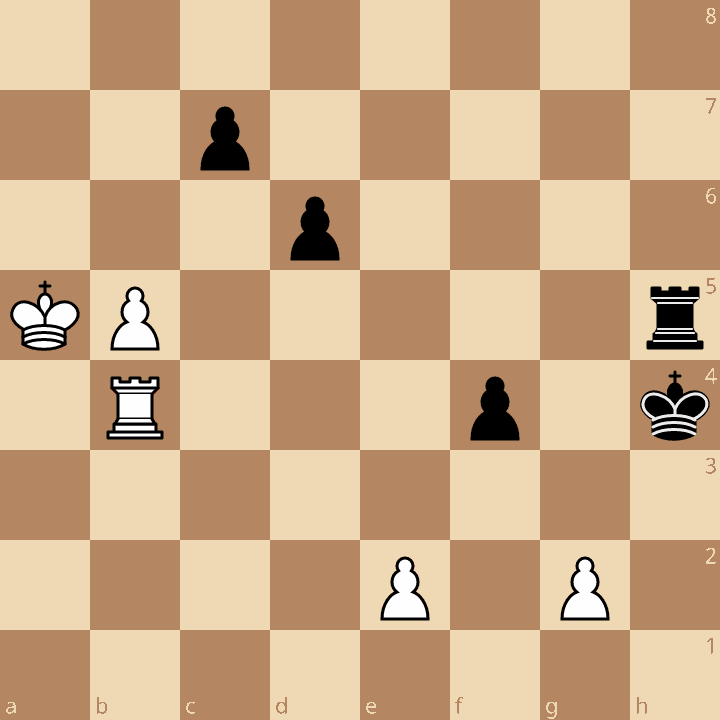 Endgame Position